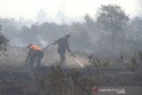 Petugas BPBD Kalsel berupaya memdamkan api yang membakar lahan gambut di Banjarbaru, Kalimantan Selatan, Rabu (11/9/2019).Berdasarkan data Badan Nasional Penanggulangan Bencana (BNPB) pada Rabu (11/9/2019) terdapat 5.062 titik panas yang terdeteksi dan jumlah lahan yang terbakar periode Agustus 2019 di seluruh provinsi yang terdampak mencapai 328.724 hektare.Foto Antaranews Kalsel/Bayu Pratama S.