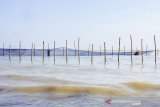 Petugas menyelesaikan pemasangan kain waring atau jaring di perairan pantai utara, Karawang, Jawa Barat, Selasa (10/9/2019). Pertamina memasang kain waring atau jaring sepanjang 8 KM di perairan pantai utara karawang sebagai penanganan lanjutan untuk mengurangi dampak ceceran minyak mentah di pesisir pantai. ANTARA JABAR/M Ibnu Chazar/agr