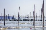 Petugas menyelesaikan pemasangan kain waring atau jaring di perairan pantai utara, Karawang, Jawa Barat, Selasa (10/9/2019). Pertamina memasang kain waring atau jaring sepanjang 8 KM di perairan pantai utara karawang sebagai penanganan lanjutan untuk mengurangi dampak ceceran minyak mentah di pesisir pantai. ANTARA JABAR/M Ibnu Chazar/agr