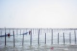 Petugas menyelesaikan pemasangan kain waring atau jaring di perairan pantai utara, Karawang, Jawa Barat, Selasa (10/9/2019). Pertamina memasang kain waring atau jaring sepanjang 8 KM di perairan pantai utara karawang sebagai penanganan lanjutan untuk mengurangi dampak ceceran minyak mentah di pesisir pantai. ANTARA JABAR/M Ibnu Chazar/agr