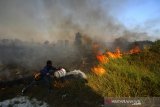 Petugas pemadam kebakaran berupaya memdamkan api yang membakar semak belukar di Jalan Kasturi, Banjarbaru, Kalimantan Selatan, Rabu (11/9/2019).Berdasarkan data Badan Nasional Penanggulangan Bencana (BNPB) pada Rabu (11/9/2019) terdapat 5.062 titik panas yang terdeteksi dan jumlah lahan yang terbakar periode Agustus 2019 di seluruh provinsi yang terdampak mencapai 328.724 hektare.Foto Antaranews Kalsel/Bayu Pratama S.