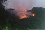 53 hektare hutan di Pesisir Selatan terbakar