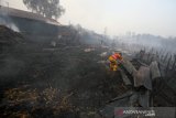 Relawan pemadam kebakaran menyingkirkan atap tempat usaha warga yang hangus terbakar di Desa Pengayuan, Banjarbaru, Kalimantan Selatan, Sabtu (14/9/2019). Kebakaran lahan gambut di kawasan tersebut mengakibatkan satu tempat usaha warga dan sebagian dinding rumah warga ikut terbakar. (Foto Antaranews Kalsel/Bayu Pratama S)