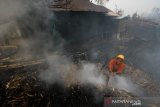 Relawan pemadam kebakaran berupaya memadamkan kebakaran lahan di Desa Pengayuan, Banjarbaru, Kalimantan Selatan, Sabtu (14/9/2019). Kebakaran lahan gambut di kawasan tersebut mengakibatkan satu tempat usaha warga dan sebagian dinding rumah warga ikut terbakar. (Foto Antaranews Kalsel/Bayu Pratama S)