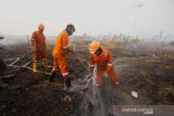 Satgas Kebakaran hutan dan lahan (karhutla) dari Dinas Kehutanan Kalsel menggunakan alat suntik gambut (sunbut) saat berupaya memadamkan kebakaran lahan gambut di kawasan Syamsudin Noor,Banjarbaru, Kalimantan Selatan, Sabtu (14/9/2019). Berdasarkan pantauan satelit milik Lembaga Penerbangan dan Antariksa Nasional (LAPAN) Sabtu (14/9/2019) terdapat 2.720 titik hotspot di sejumlah wilayah yang ada di Indonesia. (Foto Antaranews Kalsel/Bayu Pratama S)