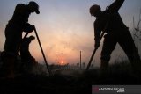 Satgas Kebakaran hutan dan lahan (karhutla) dari Dinas Kehutanan Kalsel menggunakan alat suntik gambut (sunbut) saat berupaya memadamkan kebakaran lahan gambut di kawasan Syamsudin Noor,Banjarbaru, Kalimantan Selatan, Sabtu (14/9/2019). Berdasarkan pantauan satelit milik Lembaga Penerbangan dan Antariksa Nasional (LAPAN) Sabtu (14/9/2019) terdapat 2.720 titik hotspot di sejumlah wilayah yang ada di Indonesia. (Foto Antaranews Kalsel/Bayu Pratama S)