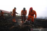 Kepala Dinas Kehutanan Hanif Faisol Nurofiq (kanan) bersama Satgas Kebakaran hutan dan Lahan (Karhutla) dari Dinas Kehutanan Kalsel menggunakan alat suntik gambut (Sunbut) saat berupaya memadamkan kebakaran lahan gambut di kawasan Syamsudin Noor, Banjarbaru, Kalimantan Selatan, Sabtu (14/9/2019). Berdasarkan pantauan satelit milik Lembaga Penerbangan dan Antariksa Nasional (LAPAN) Sabtu (14/9/2019) terdapat 2.720 hotspot di sejumlah wilayah yang ada di Indonesia. (Foto Antaranews Kalsel/Bayu Pratama S)