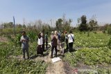 Petani Gunung Kidul memanfaatkan lahan tandus ditanami semangka