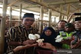 Lembaga Kemanusian Dompet Dhuafa kembangkan budi daya jamur di Batang