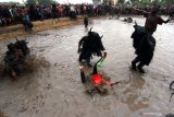 Warga yang berdandan kebo-keboan (kerbau) menceburkan penonton kedalam kubangan pada ritual adat Kebo-keboan Alasmalang, Banyuwangi, Jawa Timur, Minggu (15/9/2019). Ritual adat yang berlangsung satu tahun sekali pada bulan muharram tersebut, merupakan tradisi warisan leluhur yang sudah berlangsung sejak ratusan tahun sebagai ungkapan rasa syukur masyarakat Alasmalang atas hasil panen selama satu tahun. Antara Jatim/Budi Candra Setya/zk.