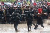 Warga yang berdandan kebo-keboan (kerbau) membajak sawah pada ritual adat Kebo-keboan Alasmalang, Banyuwangi, Jawa Timur, Minggu (15/9/2019). Ritual adat yang berlangsung satu tahun sekali pada bulan muharram tersebut, merupakan tradisi warisan leluhur yang sudah berlangsung sejak ratusan tahun sebagai ungkapan rasa syukur masyarakat Alasmalang atas hasil panen selama satu tahun. Antara Jatim/Budi Candra Setya/zk.