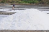 Petani memecahkan kristal garam untuk memudahkan proses panen di Desa Bunder, Pamekasan, Jawa Timur, Senin (16/9/2019). Kementerian Kelautan dan Perikanan (KKP) menyebutkan produksi garam rakyat per Agustus 2019 mencapa 197.462 ribu ton atau dibawah target sebesar 2,3 juta ton pada tahun ini.Â Sementara produksi PT. Garam mencapai 80.500 ton, sehingga produksi garam nasional secara keseluruhan mencapai 277.92 ton. Antara Jatim/Saiful Bahri/zk.