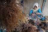 Pekerja mengikat bibit rumput laut di Desa Tanjung, Pamekasan, Jawa Timur, Senin (16/9/2019). Produksi rumput laut di daerah turun dari biasanya mencapai  800 kg  menjadi 600 kg per ancak, karena  rontok akibat tingginya suhu air laut dan angin kencang. Antara Jatim/Saiful Bahri/zk.