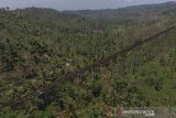 Foto aerial Jembatan rel kereta api Cikacepit jurusan Banjar-Cijulang yang tidak diaktifkan sejak akhir 1980 di Desa Pamotan, Kabupaten Pangandaran, Jawa Barat, Senin (16/9/2019). Jembatan kereta api terpajang di Indonesia yang dibangun pada zaman Pemerintahan Belanda pada tahun 1913-1916 nantinya akan direaktivasi. ANTARA FOTO/Adeng Bustomi/agr