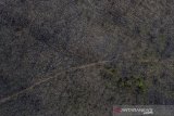 Foto aerial lahan milik Perum Perhutani Bagian Kesatuan Pemangku Hutan (BKPH) Banjar Utara yang ditanami pohon kayu jati bekas terbakar, di Purwaharja, Kota Banjar, Jawa Barat, Selasa (17/9/2019). Badan Penanggulangan Bencana Daerah (BPBD) Jawa Barat menyatakan peristiwa bencana alam yang terjadi selama Agustus 2019 di wilayah Jabar didominasi oleh kebakaran hutan sebanyak 55 kebakaran hutan yang terjadi akibat dilanda musim kemarau. ANTARA FOTO/Adeng Bustomi/agr