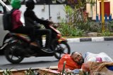 Pencari menempati trotoar tidak ingin kembali ke Kalideres