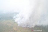 Warga masyarakat Kampung Empas Kecamatan Melak, Kabupaten Kutai Barat selama empat malam terakhir secara sukarela turut berjibaku dengan Tim Terpadu Karhutla berjaga dan ikut bantu memadamkan kebakaran hutan dan lahan didaerah itu yang kini dilaporkan setidaknya 50 hektare lahan perkebunan mereka ikut terbakar.