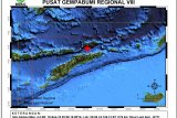 Alor, NTT diguncang gempa magnitudo 4.4