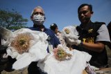 Petugas menunjukkan komoditas pertanian tanpa dilengkapi dokumen berupa benih kaktus sebelum dimusnahkan di Surabaya, Jawa Timur, Kamis (19/9/2019). Balain Besar Karantina Pertanian (BBKP) Surabaya memusnahkan komoditas pertanian tanpa dokumen diantaranya 11,4 Kg benih tanaman hias, 2,9 Kg benih sayuran, 66 Kg kayu olahan serta 2,4 Kg biji kopi yang dikirim melalui pos dari berbagai negara yakni Amerika Serikat, Australia, Brunei Darussalam, Laos, Malaysia, Jerman, Jepang, Hongkong, Singapura, China, Ukraina, Lithuania, India, Polandia, dan Republik Ceko. Antara Jatim/Moch Asim/zk.