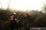 Relawan pemadam kebakaran berupaya memdamkan kebakaran lahan di Kawasan Handil Bakti, Kabupaten Barito Kuala, Kalimantan Selatan, Minggu (22/9/2019).Puluhan relawan pemadam kebakaran kota Banjarmasin ikut serta memadamkan kebakaran lahan di kawasan perbatasan Banjarmasin dengan Kabupaten Barito Kuala dan berdasarkan data Badan Penanggulangan Bencana Daerah (BPBD) Provinsi Kalsel titik hotspot di atas kepercayaan 50 persen sebanyak 105 titik yang tersebar di sejumlah wilayah Kalsel.Foto Antaranews Kalsel/Bayu Pratama S.