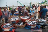 Nelayan membongkar hasil tangkapan ikan di Pelabuhan Perikanan Samudera Koetaradja, Desa Lampulo, Banda Aceh, Aceh, Selasa (24/9/2019). Badan Meteorologi, Klimatologi dan Geofisika (BMKG) dan Lembaga Adat Laut Aceh menghimau kepada para nelayan membatasi aktivitas melaut, khususnya bagi kapal nelayan yang tidak memiliki alat navigasi sehubungan kabut asap akibat kebakaran hutan daln lahan di wilayah Sumatera yang menyelimuti sejumlah perairan Aceh dan menganggu jarak pandang. Antara Aceh/Ampelsa.