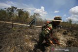 Personil TNI berupaya memadamkan Kebakaran hutan dan lahan (Karhutla) di kawasan Guntung Damar, Banjarbaru, Kalimantan Selatan, Rabu (25/9/2019). Petugas gabungan terus berupaya memadamkan kebakaran hutan dan lahan di kawasan dekat dengan Bandara dan rumah penduduk sementara Polda Kalsel telah menetapkan 20 tersangka pembakar lahan, dua diantaranya dari korporasi. Foto Antaranews Kalsel/Bayu Pratama S.