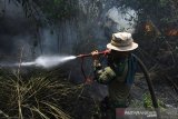 Personel TNI berupaya memadamkan Kebakaran hutan dan lahan (Karhutla) di kawasan Guntung Damar, Banjarbaru, Kalimantan Selatan, Rabu (25/9/2019). Petugas gabungan terus berupaya memadamkan kebakaran hutan dan lahan di kawasan dekat dengan Bandara dan rumah penduduk sementara Polda Kalsel telah menetapkan 20 tersangka pembakar lahan, dua diantaranya dari korporasi. Foto Antaranews Kalsel/Bayu Pratama S.