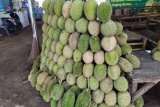 Durian asal Sumbar banjiri Bandarlampung