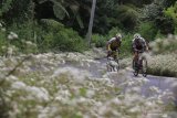 Pebalap memacu sepedanya ditanjakan gunung Ijen pada etape empat Kejuaraan Internasional Tour de Banyuwangi Ijen (ITdBI) 2019 di Banyuwangi, Jawa Timur, Sabtu (28/9/2019). Pada etape keempat ITdBI 2019 menempuh jarak 129,9 kilometer dimulai dari Pasar Purwoharjo dan finis di Paltuding, Gunung Ijen. Antara Jatim/Budi Candra Setya/zk
