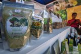 UKM di Bangka Barat kembangkan produk dari daun kelor