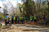 PLN Jatim akan terangi hutan Alas Purwo akhir Oktober 2019