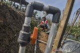 Ketua Kelompok Tani Holtikultura Saung Galih Adgani Adam, mengecek instalasi pipa air menggunakan sprinkler di Kampung Gunung Tilu, Kota Tasikmalaya, Jawa Barat, Senin (30/9/2019). Kelompok Tani Holtikultura Saung Galih membuat inovasi baru penyiram tanaman Holtikultura menggunakan sprinkler dengan sistem timer atau pengatur waktu yang diperuntukan untuk lahan sawah tandah hujan dan saat musim kemarau sehingga bisa mengurangi biaya operasional petani. ANTARA FOTO/Adeng Bustomi/agr