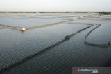 Foto aerial suasana tambak jaring keramba yang di pasang di pesisir pantai Tiris, Pasekan, Indramayu, Jawa Barat, Senin (30/9/2019). Nelayan daerah setempat mengeluhkan banyaknya petambak yang memasang jaring keramba di sekitar pantai sehingga hasil tangkapan ikan mereka berkurang. ANTARA FOTO/Dedhez Anggara/agr