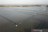 Foto aerial suasana tambak jaring keramba yang di pasang di pesisir pantai Tiris, Pasekan, Indramayu, Jawa Barat, Senin (30/9/2019). Nelayan daerah setempat mengeluhkan banyaknya petambak yang memasang jaring keramba di sekitar pantai sehingga hasil tangkapan ikan mereka berkurang. ANTARA FOTO/Dedhez Anggara/agr