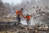 79 prusahaan sudah diproses hukum terkait karhutla