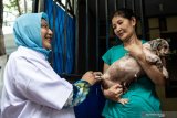 Sebagian besar anjing di Kepulauan Sangihe sudah vaksin anti rabies