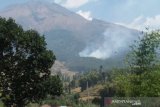 Area hutan di lereng Gunung Sumbing terbakar