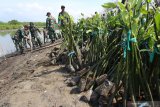 Prajurit TNI AL bersama Forkopimda, Siswa dan Masyarakat menanam mangrove di pesisir Pulau Santen, Banyuwangi, Jawa Timur, Senin (7/10/2019). Penanaman 7.000 bibit mangrove dalam rangka HUT TNI ke-74 tersebut, diharapkan dapat bermanfaat bagi kelestarian lingkungan. Antara Jatim/Budi Candra Setya/zk.