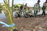 Prajurit TNI AL bersama Forkopimda, Siswa dan Masyarakat menanam mangrove di pesisir Pulau Santen, Banyuwangi, Jawa Timur, Senin (7/10/2019). Penanaman 7.000 bibit mangrove dalam rangka HUT TNI ke-74 tersebut, diharapkan dapat bermanfaat bagi kelestarian lingkungan. Antara Jatim/Budi Candra Setya/zk.