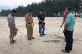 Ratusan Ubur-ubur terdampar di Pantai Tiku Agam, 10 Pengunjung Terkena Sengat