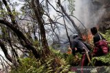 Relawan berusaha memadamkan titik api yang membakar hutan tropis kawasan Taman Wisata Alam Kawah Putih Gunung Patuha, Kabupaten Bandung, Jawa Barat, Selasa (8/10/2019). BBadan Penanggulangan Bencana Daerah (BPBD) Jawa Barat menyatakan luas kebakaran lahan di Kabupaten Bandung mencapai 241 hektar yang tersebar di beberapa titk antara lain Gunung Malabar, Gunung Patuha , Gunung Hawu dan kawasan Taman Wisata Alam Kawah Putih. ANTARA FOTO/Novrian Arbi/agr