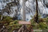 KEBAKARAN HUTAN KAWASAN KAWAH PUTIH. Kondisi hutan yang tertutup asap dari titik api yang membakar hutan tropis kawasan Taman Wisata Alam Kawah Putih Gunung Patuha, Kabupaten Bandung, Jawa Barat, Selasa (8/10/2019). Badan Penanggulangan Bencana Daerah (BPBD) Jawa Barat menyatakan luas kebakaran lahan di Kabupaten Bandung mencapai 241 hektar yang tersebar di beberapa titk antara lain Gunung Malabar, Gunung Patuha , Gunung Hawu dan kawasan Taman Wisata Alam Kawah Putih. ANTARA FOTO/Novrian Arbi/agr