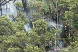 Petugas berusaha memadamkan titik api yang membakar hutan tropis kawasan Taman Wisata Alam Kawah Putih Gunung Patuha, Kabupaten Bandung, Jawa Barat, Selasa (8/10/2019). Badan Penanggulangan Bencana Daerah (BPBD) Jawa Barat menyatakan luas kebakaran lahan di Kabupaten Bandung mencapai 241 hektar yang tersebar di beberapa titk antara lain Gunung Malabar, Gunung Patuha , Gunung Hawu dan kawasan Taman Wisata Alam Kawah Putih. ANTARA FOTO/Novrian Arbi/agr