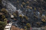 Relawan melihat kondisi Taman Wisata Alam Kawah Putih yang terdampak kebakaran Hutan di Ciwidey, Kabupaten Bandung, Jawa Barat, Selasa (8/10/2019).  Taman Wisata Alam Kawah Putih untuk saat ini ditutup sementara akibat terdampak kebakaran hutan yang mengelilingi area tersebut. ANTARA FOTO/Novrian Arbi/agr