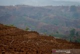 Kondisi Kawasan Bandung Utara (KBU) yang beralih fungsi dari kawasan resapan menjadi lahan pertanian di Cimenyan, Kabupaten Bandung, Jawa Barat, Kamis (10/10/2019). Wahana Lingkungan Hidup (Walhi) Jawa Barat mencatat, dari total luas KBU yang mencapai 40.000 hektare, sekitar 70 persen diantaranya telah beralih fungsi sehingga berpotensi mengakibatkan berbagai macam bencana seperti banjir bandang, serta longsor di Kota Bandung. ANTARA JABAR/Raisan Al Farisi/agr