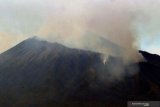 Hutan gunung Arjuno yang terbakar terlihat dari desa Landungsari, Malang, Jawa Timur, Jumat (11/10/2019). Kawasan hutan yang terbakar berada di petak Curah Seriti di ketinggian 2.300 mdpl dengan kemiringan 70 derajat sehingga menjadi kendala bagi petugas untuk memadamkan api. Antara Jatim/Ari Bowo Sucipto/zk.