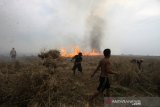 Sejumlah Warga berusaha membuat batas agar api yang membakar lahan tidak meluas di Desa Kayu Bawang, Kecamatan Gambut, Kabupaten Banjar, Kalimantan Selatan, Jumat (11/10/2019).Kencangnya angin di lokasi lahan yang terbakar membuat api cepat meluas sehingga membuat panik warga karena api menjalar menuju permukiman penduduk. Foto Antaranews Kalsel/Bayu Pratama S.