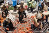 Warga saling melempar buah tomat pada tradisi Rempug Tarung Perang Tomat di Kampung Cikareumbi, Lembang, Kabupaten Bandung Barat, Jawa Barat, Minggu (13/10/2019). Tradisi tersebut merupakan ungkapan dalam membuang hal buruk dan ungkapan menjauhkan penderitaan masyarakat khususnya Petani Tomat atas hasil panen serta rendahnya harga pasar dengan ritual saling lempar menggunakan tomat busuk. ANTARA FOTO/Novrian Arbi/agr