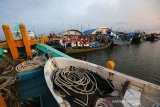 Aktivitas kapal nelayan yang sandar dan bongkar muat hasil tangkapan nelayan di Pelabuhan Pendaratan Ikan (PPI) Samudera, Banda Aceh, Aceh, Selasa (8/10/2019).
