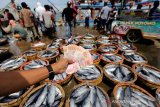 Aktivitas jual beli ikan jenis tongkol (Euthynnus sp) hasil tangkapan nelayan di Pelabuhan Pendaratan Ikan (PPI) Samudera, Banda Aceh, Aceh, Selasa (8/10/2019).